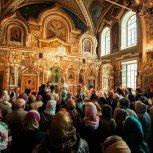 65c9fbf61722dadb009b88801f231246