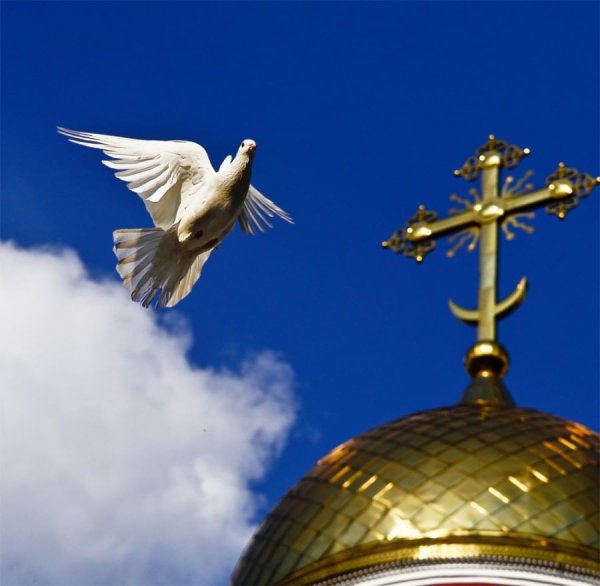 cc01d66a068e56fab90d1ec9857a53c6