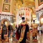 j1d13gqm5sy4o18vwrcoyqp1e21yx3zt