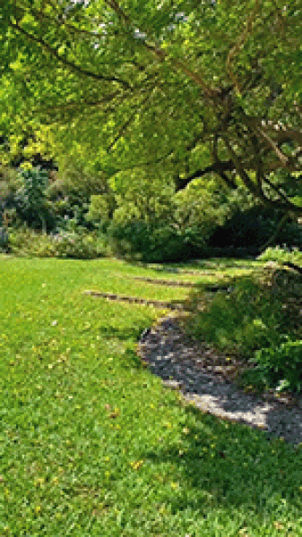 Entebbe Botanical Gardens,