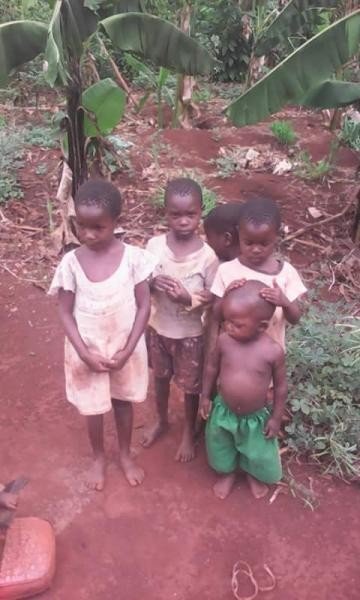 Daily Life at Mothers Heart