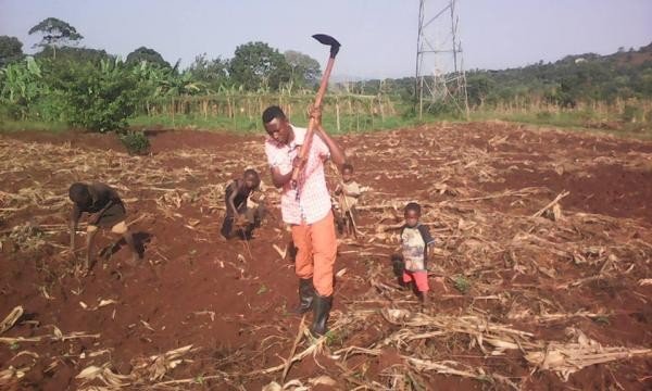 Daily Life at Mothers Heart