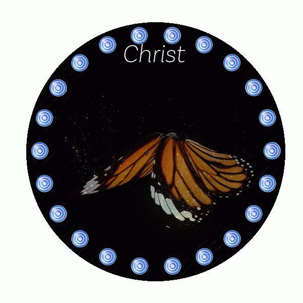 CMC-the butterfly eventually emerges as the beautiful unfolding