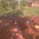 Girls Dormitory Project