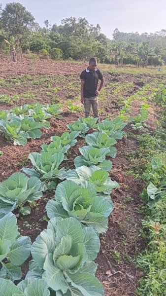Daniel Mwebembezi | Kamwenge Food Forest | Tiny Engines of Abundance