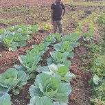 Daniel Mwebembezi | Kamwenge Food Forest | Tiny Engines of Abundance