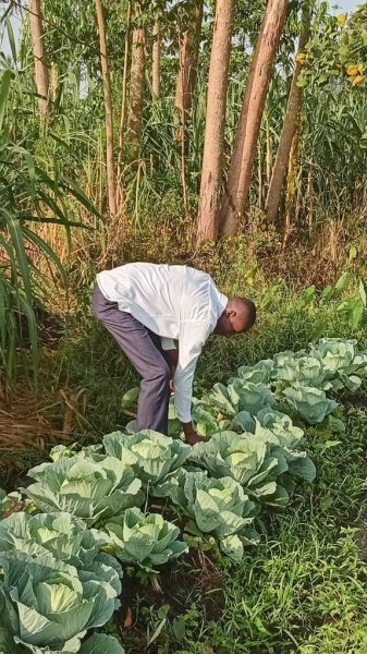 Daniel Mwebembezi | Kamwenge Food Forest | Tiny Engines of Abundance