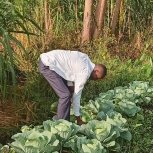 Daniel Mwebembezi | Kamwenge Food Forest | Tiny Engines of Abundance