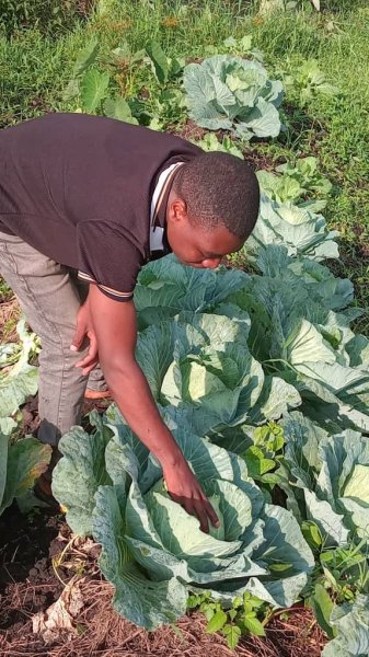 Daniel Mwebembezi | Kamwenge Food Forest | Tiny Engines of Abundance