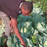 Daniel Mwebembezi | Kamwenge Food Forest | Tiny Engines of Abundance