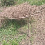 Daniel Mwebembezi | Kamwenge Food Forest | Tiny Engines of Abundance