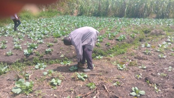 Daniel Mwebembezi | Kamwenge Food Forest | Tiny Engines of Abundance