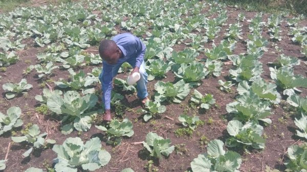 Daniel Mwebembezi | Kamwenge Food Forest | Tiny Engines of Abundance