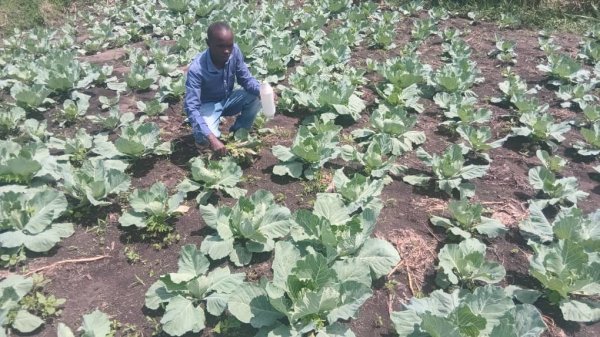 Daniel Mwebembezi | Kamwenge Food Forest | Tiny Engines of Abundance