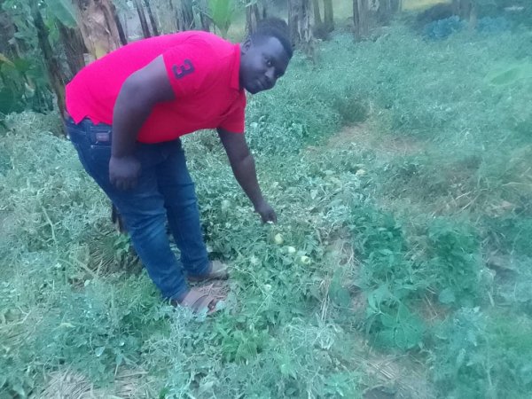 Daniel Mwebembezi | Kamwenge Food Forest | Tiny Engines of Abundance
