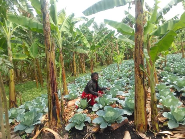 Daniel Mwebembezi | Kamwenge Food Forest | Tiny Engines of Abundance
