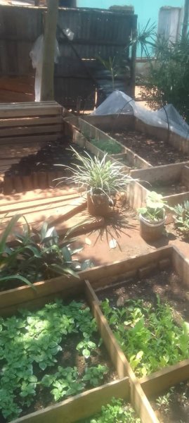 Daniel Mwebembezi | Kamwenge Food Forest | Tiny Engines of Abundance