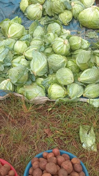 Daniel Mwebembezi | Kamwenge Food Forest | Tiny Engines of Abundance