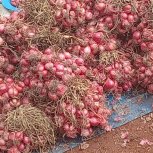 Daniel Mwebembezi | Kamwenge Food Forest | Tiny Engines of Abundance