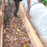 Daniel Mwebembezi | Kamwenge Food Forest | Tiny Engines of Abundance