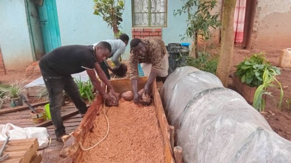 Daniel Mwebembezi | Kamwenge Food Forest | Tiny Engines of Abundance