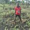 Daniel Mwebembezi | Kamwenge Food Forest | Tiny Engines of Abundance
