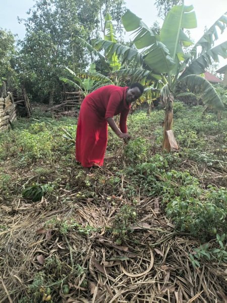 Daniel Mwebembezi | Kamwenge Food Forest | Tiny Engines of Abundance