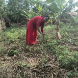 Daniel Mwebembezi | Kamwenge Food Forest | Tiny Engines of Abundance
