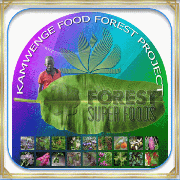 FarmFrame351X35101copy