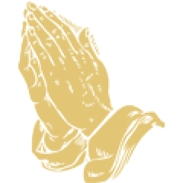 HandIcons29