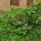 20260506LandImages0001