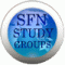 SFN STUDY GROUPS BUTTON