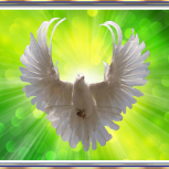 Grace Of God Ministry