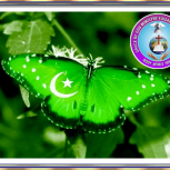 Grace Of God Ministry Faisalabad Pakistan