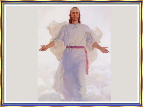 Slider 1 Image 5