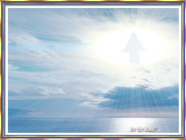 Slider 1 Image 4