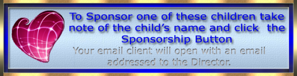 Sponsor Instructions