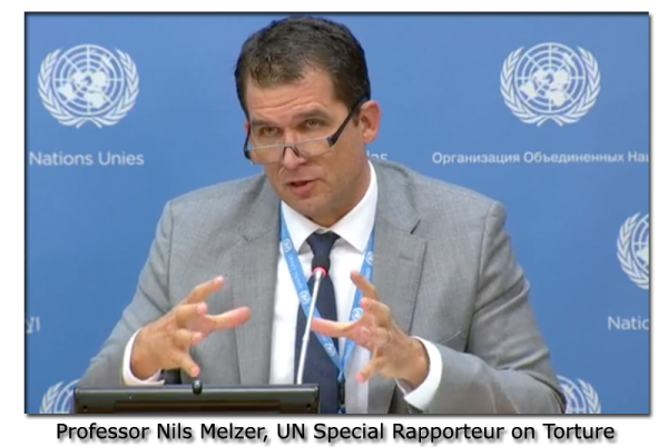 Professor Nils Melzer, UN Special Rapporteur on Torture