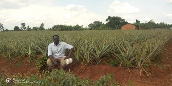 Farming Uganda