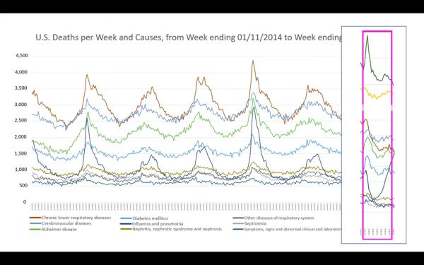 2020-11-22-A closer look at U.S. deaths due to COVID-19-02.jpg