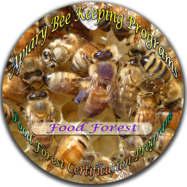 Apiary Bee Keeping Programs